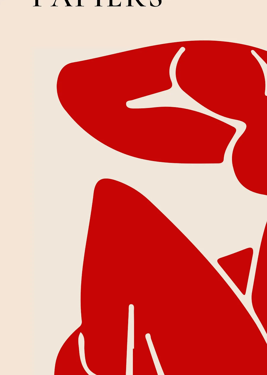 Affiche Papiers Decoupes Nu Rouge Paris 1948 — Henri Matisse — détail de l'œuvre