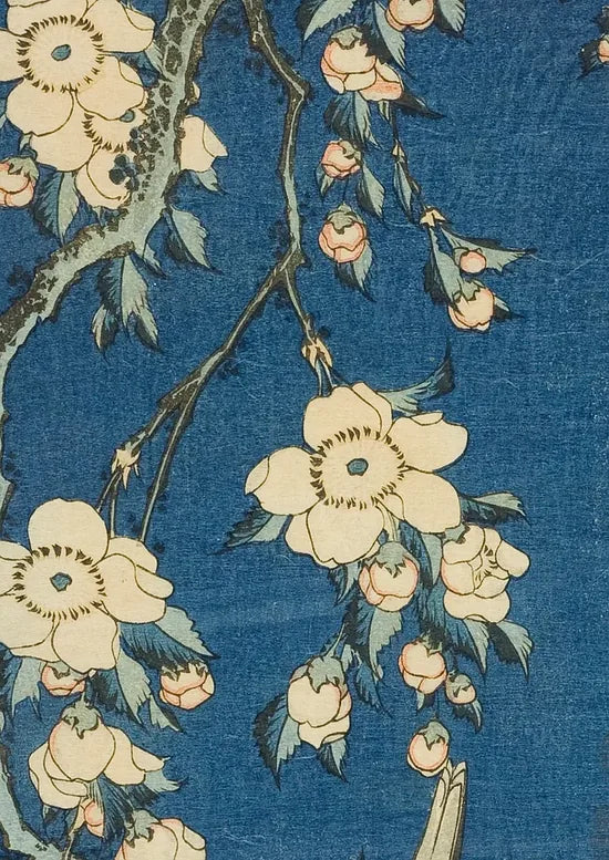 Gros plan sur les fleurs de cerisier et le bouvreuil de Hokusai