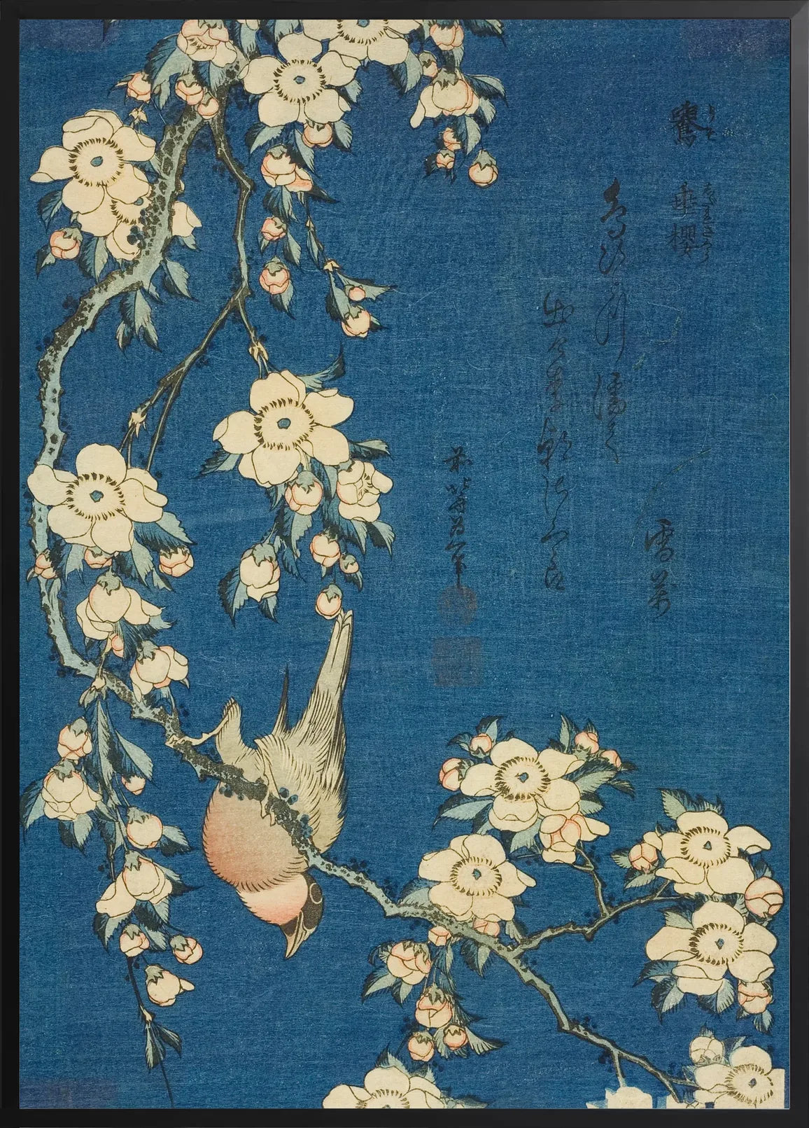 Encadrement noir mat autour des fleurs de cerisier Hokusai et bouvreuil